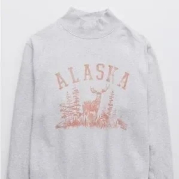 Aerie Alaska Mock Neck Sweatshirt In Gray Color - Picture 2 of 11